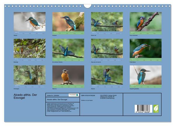 Produktbild: Alcedo atthis. Der Eisvogel (Wandkalender 2027 DIN A3 quer), CALVENDO Monatskalender