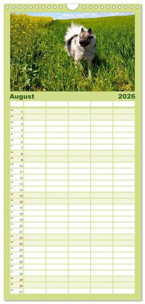Produktbild: Familienplaner 2026 - Der Wolfsspitz mit 5 Spalten (Wandkalender, 21 x 45 cm) CALVENDO