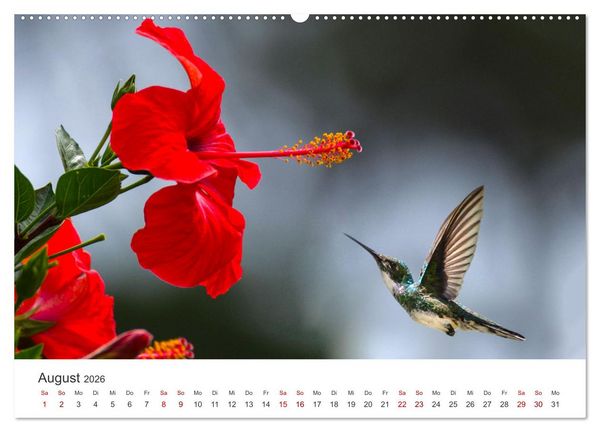 Produktbild: Die magische Welt der Blumen (Wandkalender 2026 DIN A2 quer), CALVENDO Monatskalender