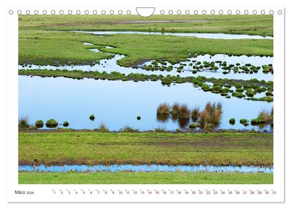 Produktbild: Buntes und bl&uuml;hendes Borkum (Wandkalender 2026 DIN A4 quer), CALVENDO Monatskalender