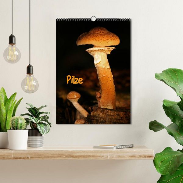 Produktbild: Pilze (Wandkalender 2026 DIN A3 hoch), CALVENDO Monatskalender