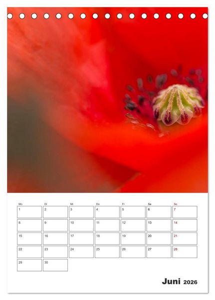 Produktbild: Farbiger Bl&uuml;tentraum (Tischkalender 2026 DIN A5 hoch), CALVENDO Monatskalender