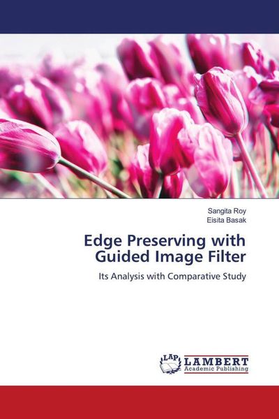 Produktbild: Edge Preserving with Guided Image Filter