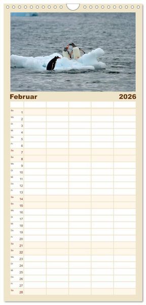 Produktbild: Familienplaner 2026 - Im Reich der Pinguine mit 5 Spalten (Wandkalender, 21 x 45 cm) CALVENDO