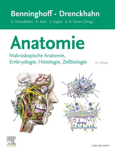 Produktbild: Benninghoff/Drenckhahn, Anatomie
