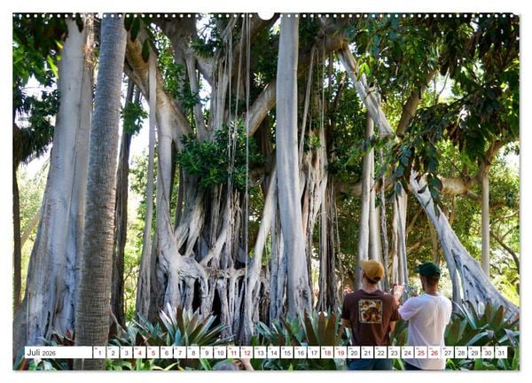Produktbild: Puerto de la Cruz. Teneriffa Urlaub. (hochwertiger Premium Wandkalender 2026 DIN A2 quer), Kunstdruck in Hochglanz
