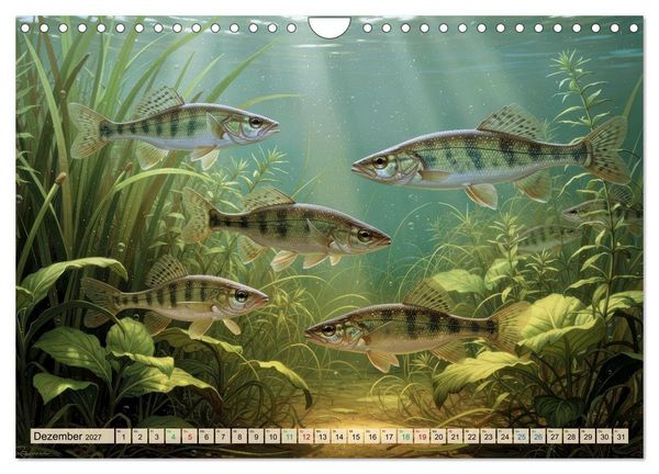 Produktbild: Barsche im See (Wandkalender 2027 DIN A4 quer), CALVENDO Monatskalender