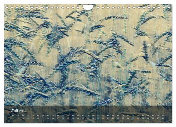 Produktbild: Surreales Farbspiel (Wandkalender 2026 DIN A4 quer), CALVENDO Monatskalender