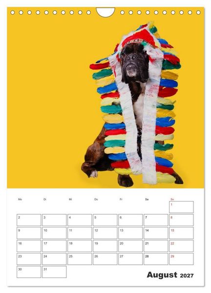 Produktbild: colorful world of boxer 2027 (Wandkalender 2027 DIN A4 hoch), CALVENDO Monatskalender
