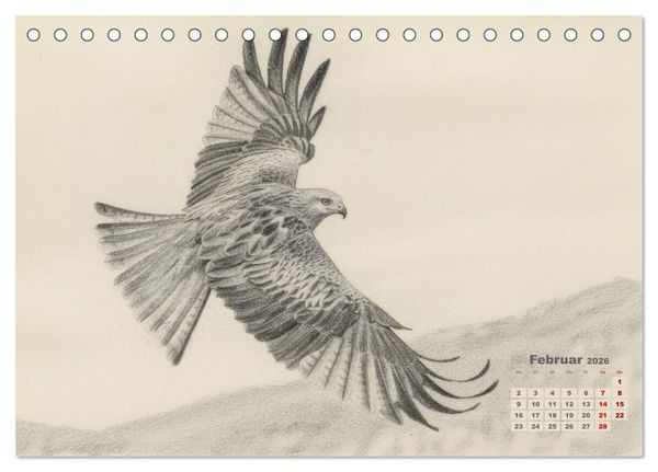 Produktbild: Wilde Seelen - Tierische Momente in Graphit (Tischkalender 2026 DIN A5 quer), CALVENDO Monatskalender