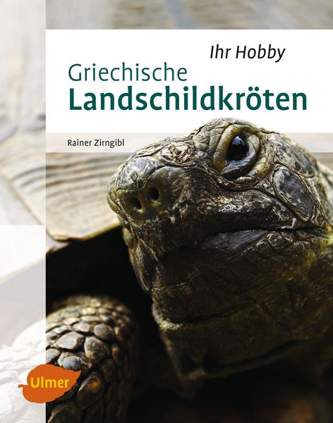 Produktbild: Griechische Landschildkr&ouml;ten