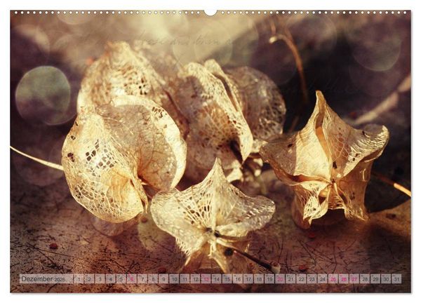 Produktbild: Vintage Nature - Romantische Naturaufnahmen (Wandkalender 2026 DIN A2 quer), CALVENDO Monatskalender