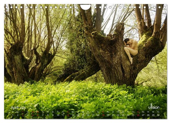 Produktbild: ZAUBERWALD Mystik der Natur (Wandkalender 2026 DIN A4 quer), CALVENDO Monatskalender