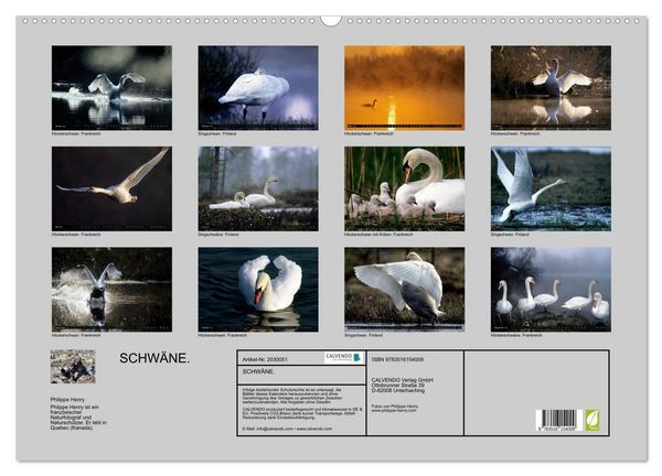 Produktbild: SCHW&Auml;NE. (Wandkalender 2026 DIN A2 quer), CALVENDO Monatskalender