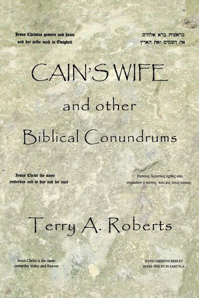 Produktbild: Cain'S Wife and Other Biblical Conundrums