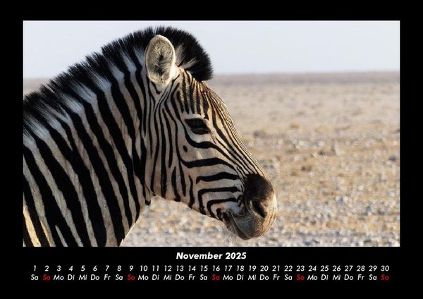 Produktbild: Zebrazauber 2025 Fotokalender DIN A3