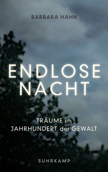 Endlose Nacht, Gebundene Ausgabe von Barbara Hahn, Suhrkamp, 9783518425657