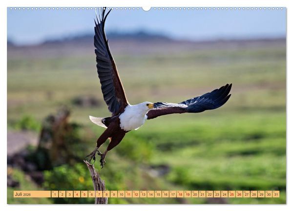 Produktbild: Magische Momente aus Kenia (Wandkalender 2026 DIN A2 quer), CALVENDO Monatskalender