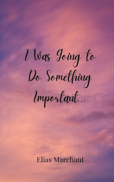 Produktbild: I Was Going to Do Something Important...