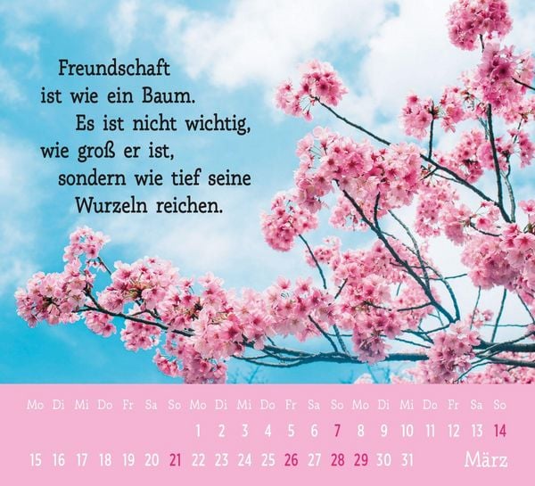 Produktbild: Mini-Kalender 2027: Der kleine Freundschaftskalender