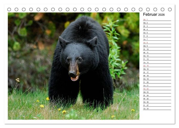Produktbild: Alaskas Tierwelt - Paradies im Norden (Tischkalender 2026 DIN A5 quer), CALVENDO Monatskalender
