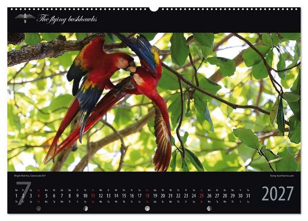 Produktbild: Costa Rica Blickwinkel 2027 (Wandkalender 2027 DIN A2 quer), CALVENDO Monatskalender