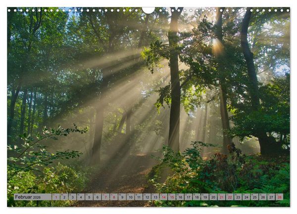Produktbild: Streifzug durch Ostwestfalen (Wandkalender 2026 DIN A3 quer), CALVENDO Monatskalender