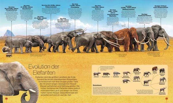 Produktbild: Reise durch die Natur