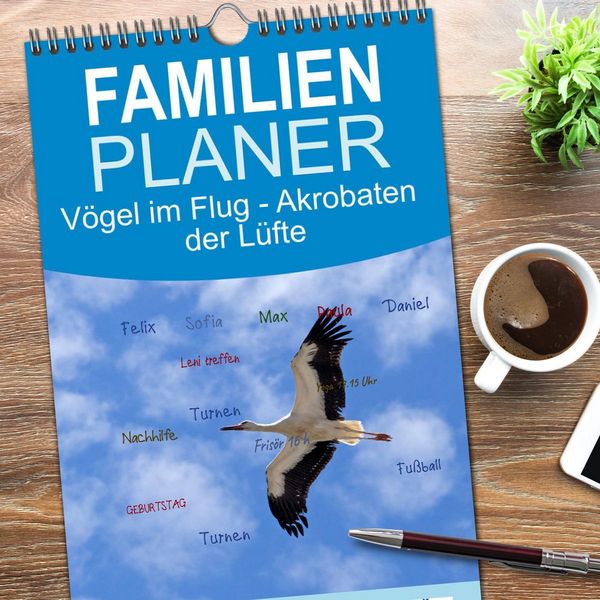 Produktbild: Familienplaner 2026 - V&ouml;gel im Flug - Akrobaten der L&uuml;fte mit 5 Spalten (Wandkalender, 21 x 45 cm) CALVENDO