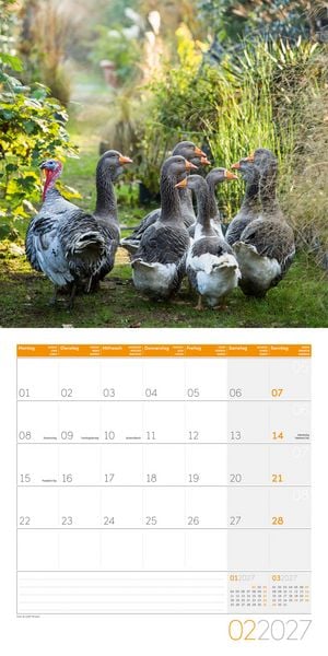 Produktbild: Landleben Kalender 2027 - 30x30 - Art12