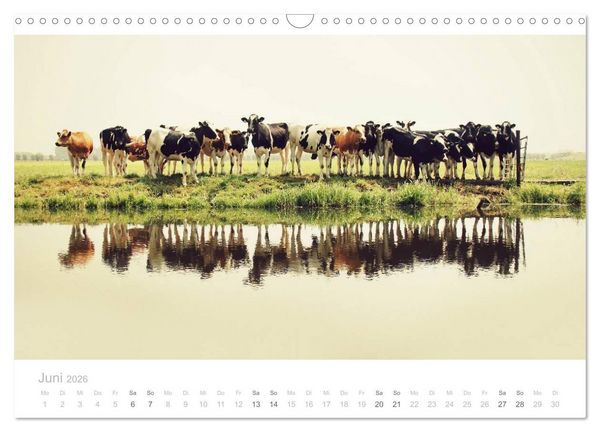 Produktbild: Polderlandschaften in Holland (Wandkalender 2026 DIN A3 quer), CALVENDO Monatskalender