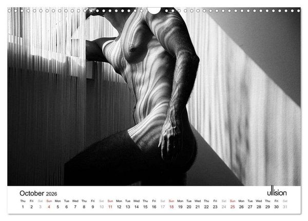 Produktbild: Male Nude Art (Wall Calendar 2026 DIN A3 landscape), CALVENDO 12 Month Wall Calendar