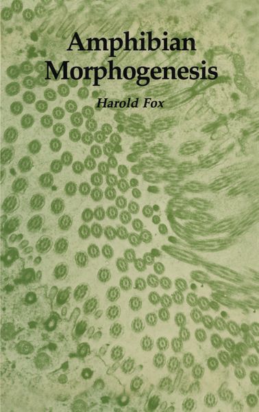 Produktbild: Amphibian Morphogenesis