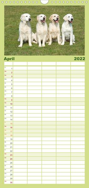 Produktbild: Familienplaner Golden Retriever (Wandkalender 2022 , 21 cm x 45 cm, hoch)