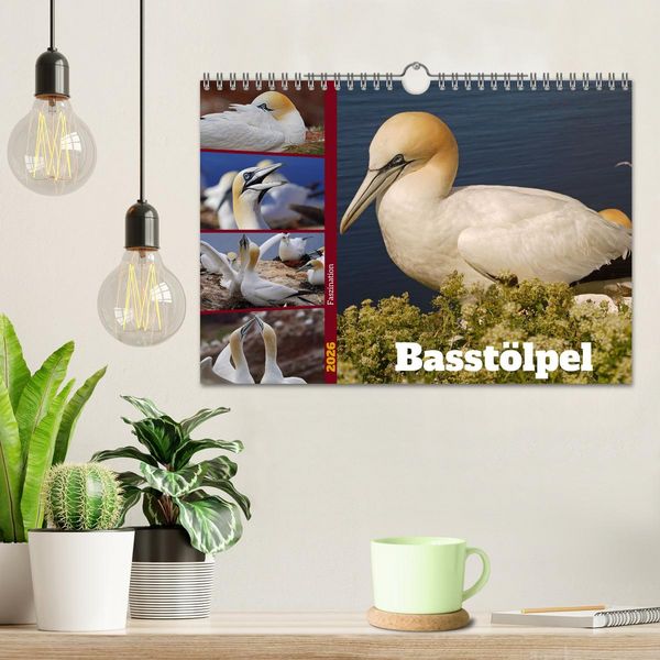 Produktbild: Faszination Basst&ouml;lpel (Wandkalender 2026 DIN A4 quer), CALVENDO Monatskalender
