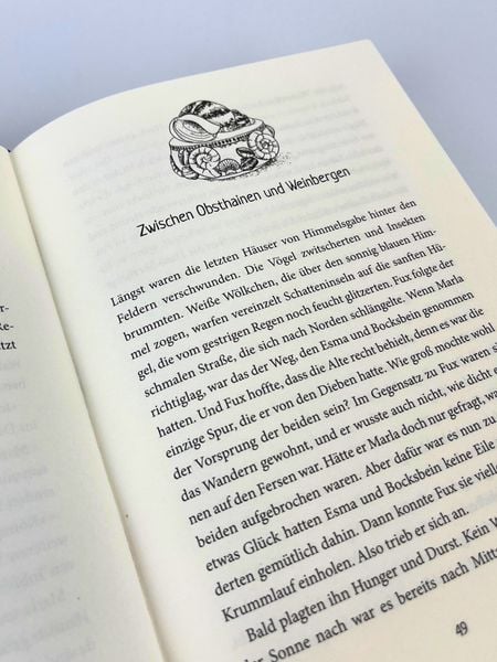 Produktbild: Fux Witterling und die Quelle der Magie