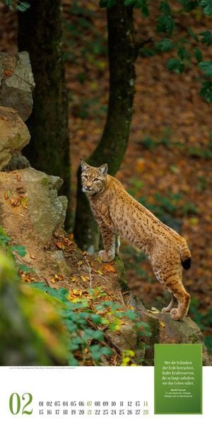 Produktbild: Mythos Wald Literatur-Kalender 2027