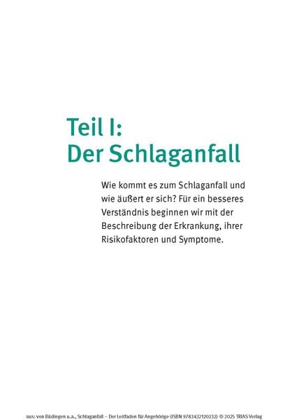Produktbild: Schlaganfall - Der Leitfaden f&uuml;r Angeh&ouml;rige
