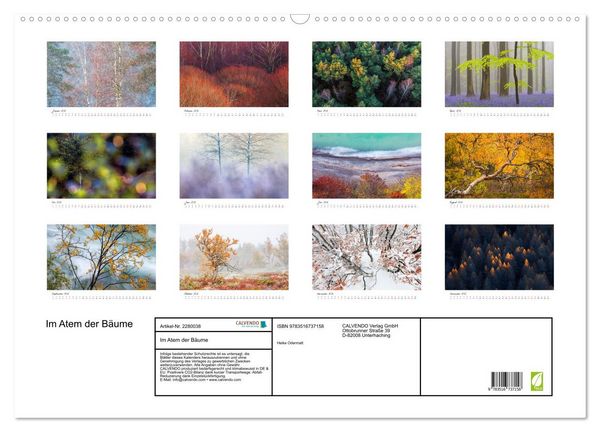 Produktbild: Im Atem der B&auml;ume (Wandkalender 2026 DIN A2 quer), CALVENDO Monatskalender