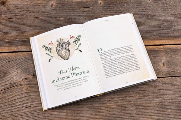 Produktbild: Die Kr&auml;uter-Apotheke f&uuml;r unsere Organe