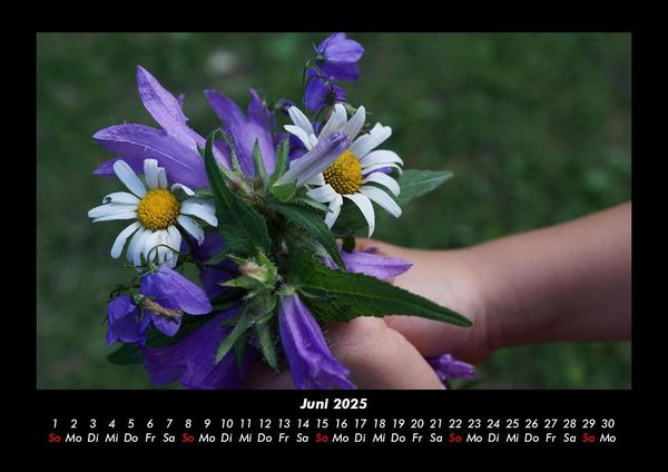 Produktbild: Blumentr&auml;ume 2025 Fotokalender DIN A3