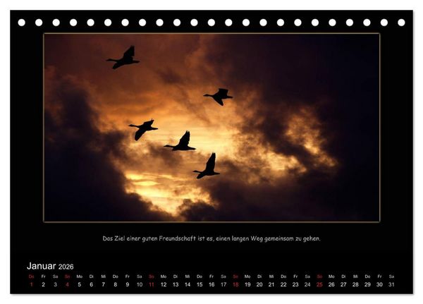 Produktbild: Freundschaft (Tischkalender 2026 DIN A5 quer), CALVENDO Monatskalender