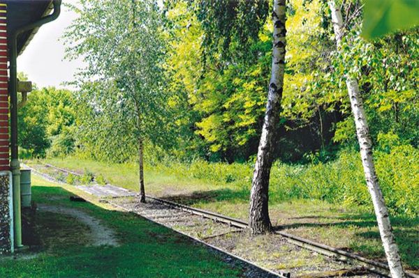 Produktbild: Wege aus Eisen im Weinviertel