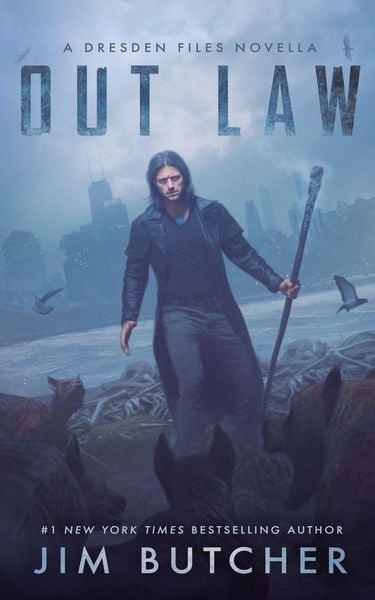 Produktbild: Out Law