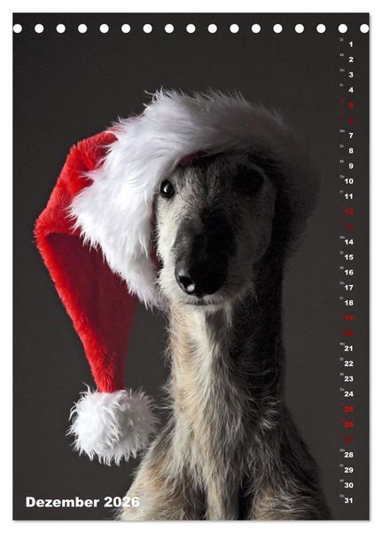 Produktbild: dogmuse deluxe (Tischkalender 2026 DIN A5 hoch), CALVENDO Monatskalender