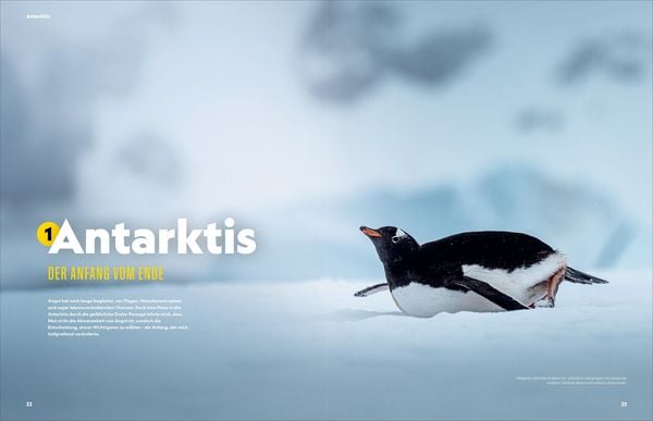 Produktbild: AugenBlicke