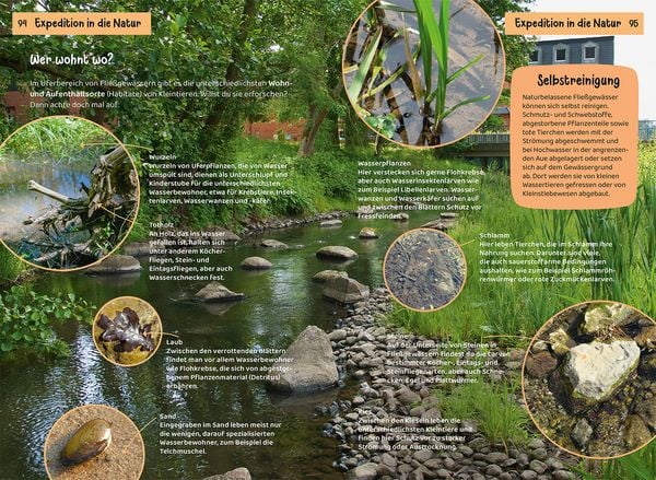 Produktbild: Was lebt an Bach und Teich? Kindernaturf&uuml;hrer