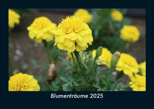 Produktbild: Blumentr&auml;ume 2025 Fotokalender DIN A5