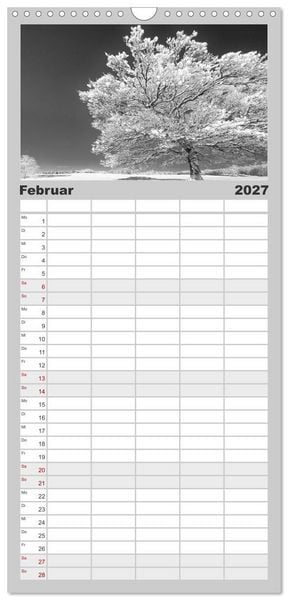 Produktbild: Familienplaner 2027 - Traumhafte Allg&auml;uer Alpen mit 5 Spalten (Wandkalender, 21 x 45 cm) CALVENDO