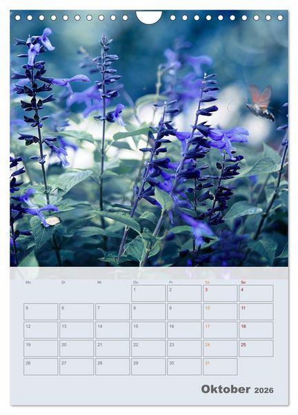 Produktbild: Magie im Garten (Wandkalender 2026 DIN A4 hoch), CALVENDO Monatskalender